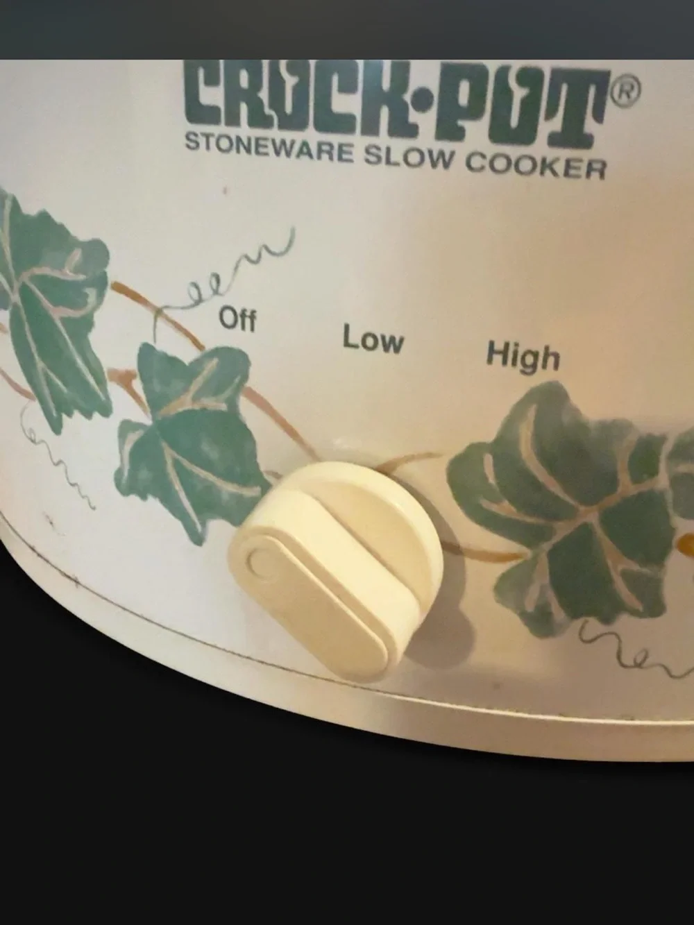 Rival crock pot